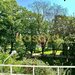 Floreasca, oportunitate, apartament 2 camere, vedere parc, renovat